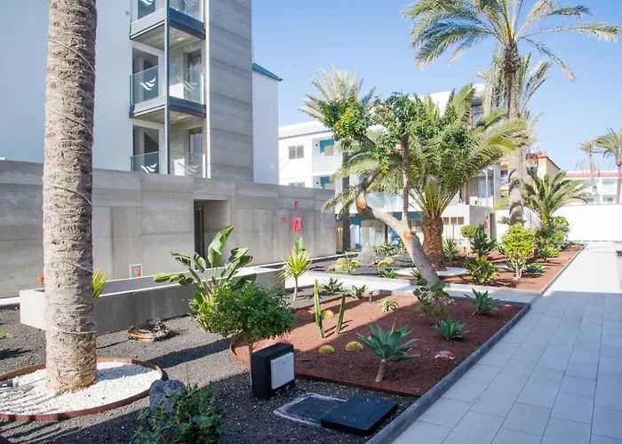 Lägenhet Pardela Holidayfv Corralejo