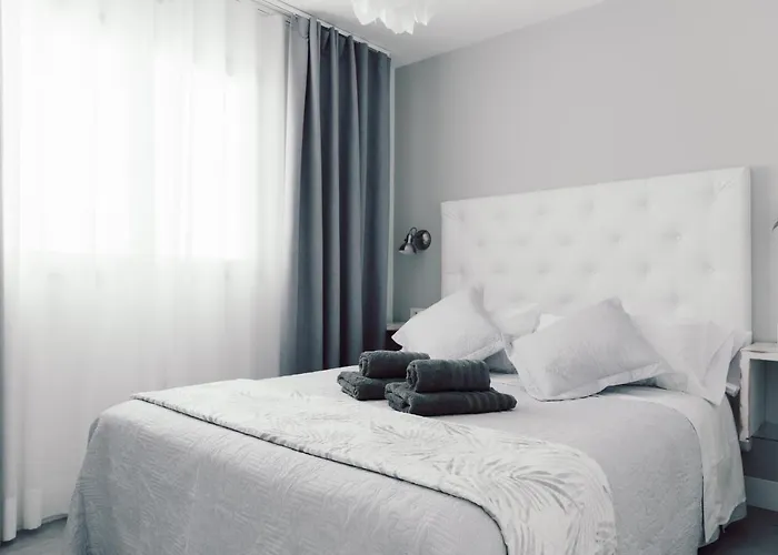 Pardela Holidayfv קורלחו