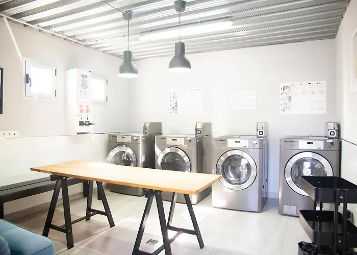 Pardela Holidayfv קורלחו